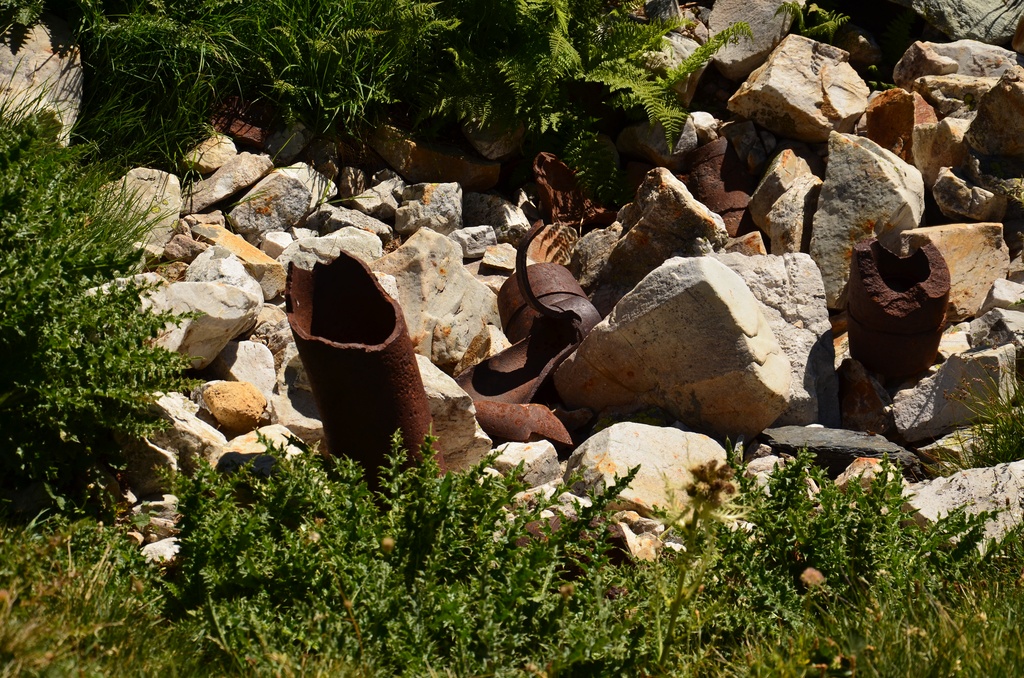 2015-07 Savoie/Orgère/DSC_0304.JPG